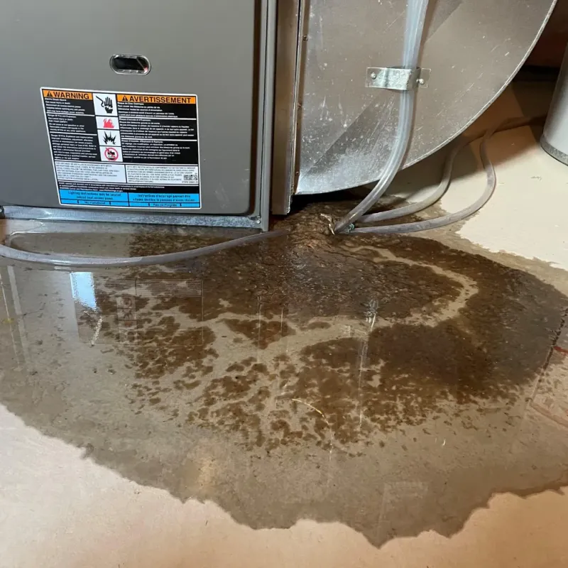 Appliance Leak Cleanup in Sweet Springs, MO