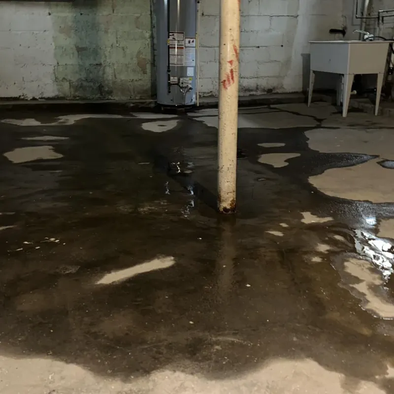 Emergency Water Extraction And Removal in Sweet Springs, MO